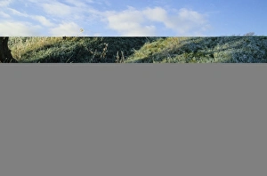 Winter Landscape Photography UK Drucke: 02389dt