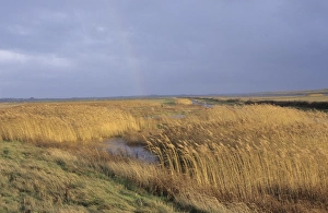 Nature Photography Ireland Drucke: 02396dt