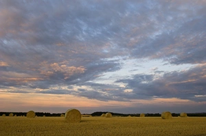 David Tipling Photographer Drucke: 02534dt
