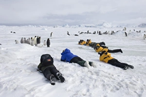Snow Hill Island Antarctica Drucke: 02547dt