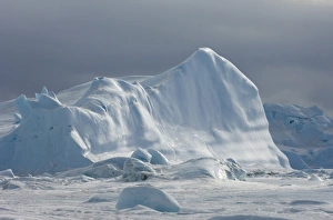 Snow Hill Island Drucke: 02600dt