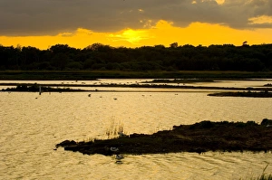 Dusk Landscape Photography Drucke: Scrape at Minsmere at dusk May