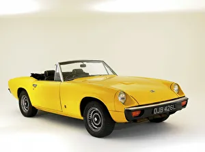 Die 1973 Jensen Healey
