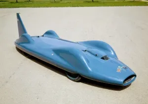 Die Blauvogelschnitzel 67