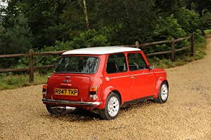 Classic Mini Cooper Models Drucke: Rover Mini Cooper