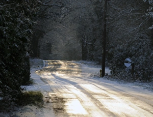 Winter Landscapes UK Drucke: Sun glinting off