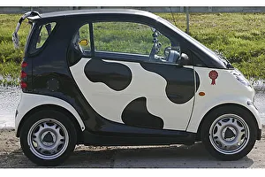 Black And White Cows Drucke: Smart Cow Germany