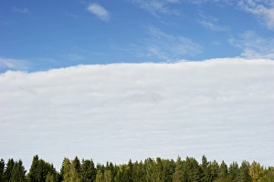 Cloudy Forest Landscape Drucke: Approaching weather front, clouds over forest, Sweden, september