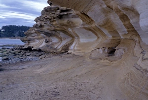 Australian Outback Scenic Views Drucke: Australia Painted Cliffs, Maria Is. NP. patterned & eroded sandstone rock marked by min