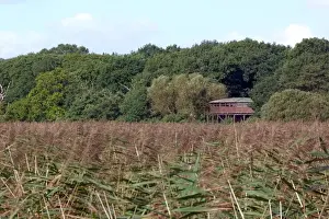 Minsmere Nature Reserve Drucke: Bittern Hide at RSPB Minsmere Suffolk - A top place for viewing Bittern in the spring and summer