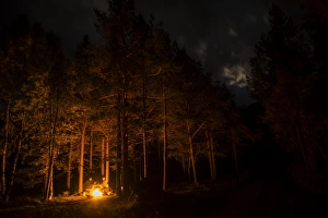 Feuer im Wald mit Konifern bei Nacht in Skibotn, Lappenland Nordnorwegen September