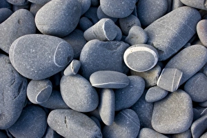 England Coastal Scenery Drucke: Close-up of rounded sandstone pebbles on beach, Hartland Quay, North Devon, England, may
