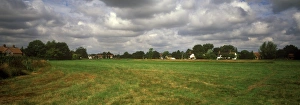 Nature Reserves UK Drucke: Conservation - Reserves - Mellis Common, Suffolk Wildlife Trust