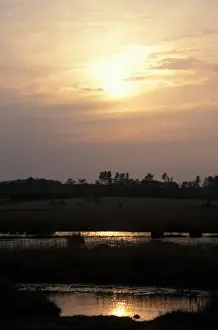 Setting Sun Landscape Drucke: Conservation - Reserves - Setting sun over Dingle Marsh, Suffolk Wildlife Trust
