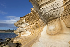 Eroded Sandstone Cliffs Drucke: Eroded sandstone sea cliffs, Painted Cliffs