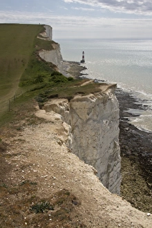 Chalk Cliffs UK Drucke: Erosion of the white chalk cliffs at Beachy Head, East Sussex