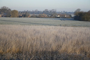 English Countryside Winter Scene Drucke: Frost covered permanent set-a-side beside arable field, Bacton, Suffolk, England, march