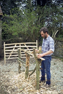 English Countryside Drucke: Hurdle maker at work, Shropshire, England