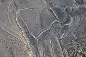 Swedish Winter Landscapes Drucke: Ice, patterns in frozen puddle, Sweden