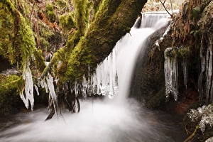 Eisritze hängen von Zweigen über Wasserfälle im Uplandfluss Powys, Wales Februar