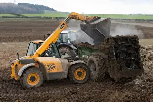 British Farm Machinery Drucke: JCB Loadall telehandler loading muck into muck spreader
