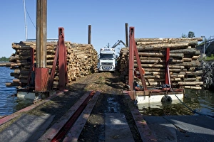 Baltic Sea Shipping Drucke: Lorry with grapple loading logs onto timber barge
