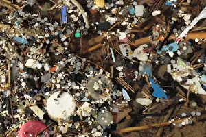Mikroplastika im Becken mit kleinen Nurdlen und Plastikschutt in der Felsenwelt am Gower-Halbinsel im West-Glamorganshire in Wales März