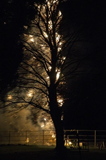 Bonfire Night Fireworks Drucke: November 5th firework display
