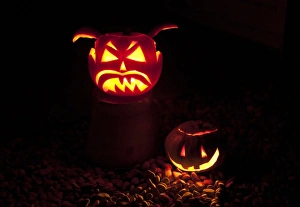 Jack O Lantern Drucke: Pumpkin (Cucurbita sp. ) Jack O Lantern