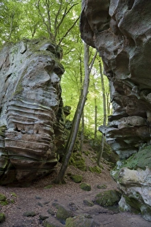 Central European Rock Formations Drucke: Rock formations in deciduous forest habitat