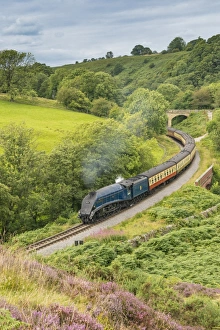 Classic British Steam Trains Drucke: Sir Nigel Gresley steam train and carriages