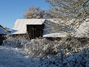 English Countryside Winter Scene Drucke: Snow covered barn, Devon, England, winter