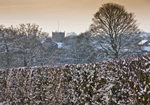 Snowy Church Tower Drucke: Snow covered hedgerow and tree in evening