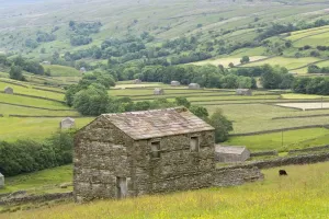 English Rural Scenery Drucke: Stone barn, fields and drystone walls