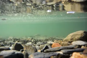 English Countryside Images Drucke: Stones on lakebed reflected underneath surface