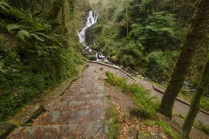 Torc Waterfall Ireland Drucke: View of steps leading uphill from waterfall