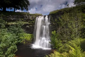 Blick auf Wasserfall bei Hell Gill Force am Fluss Eden in Mallerstang im Königreich Cumberland (England), August