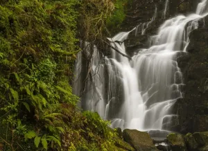 Torc Waterfall Ireland Drucke: View of waterfall, Torc Waterfall
