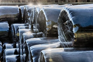 European Farming Drucke: Stack of plastic wrapped round silage bales