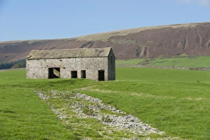 UK Rural Landscape Drucke: Stone barn in pasture with distant fell, near Slaidburn, Lancashire, England, october