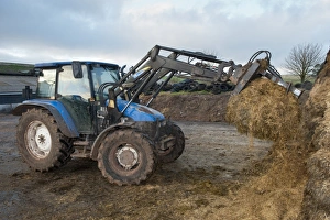 European Agricultural Machinery Drucke: Tractor with loader and grab in silage clamp, England, november
