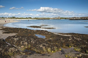 Blick auf Strand und Küste von Borthwen im Cymyr-Bay in der Inselmündung Angelsey Nordwales August