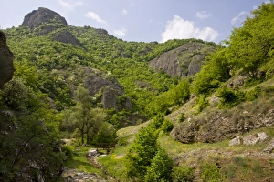 Eastern European Forests Drucke: View of botanically-rich protected area