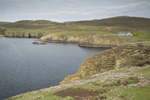 UK Island Landscapes Drucke: View of coastline and cliffs, Fair Isle, Shetland Islands, Scotland, June