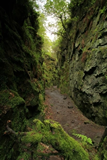 Black Forest Landscapes Drucke: View of deep chasm created by massive landslip on hillside