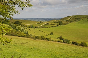 Buckinghamshire Countryside Drucke: View of downland and footpath, Ridgeway Path