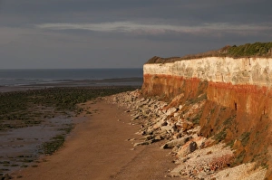 Hunstanton Cliffs Drucke: View of eroded chalk and carrstone sea cliffs, Hunstanton, Norfolk, England, october
