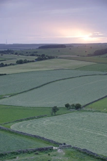 Yorkshire Countryside Images Drucke: View of fields and drystone walls at sunset