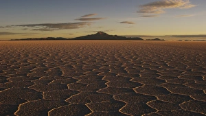 Salar De Uyuni Drucke: View of hexagonal crystallization fissures on salt pan