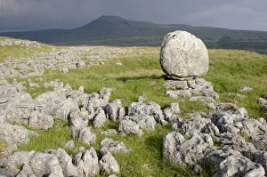 Limestone Pavement UK Drucke: View of limestone pavement and erratic rock
